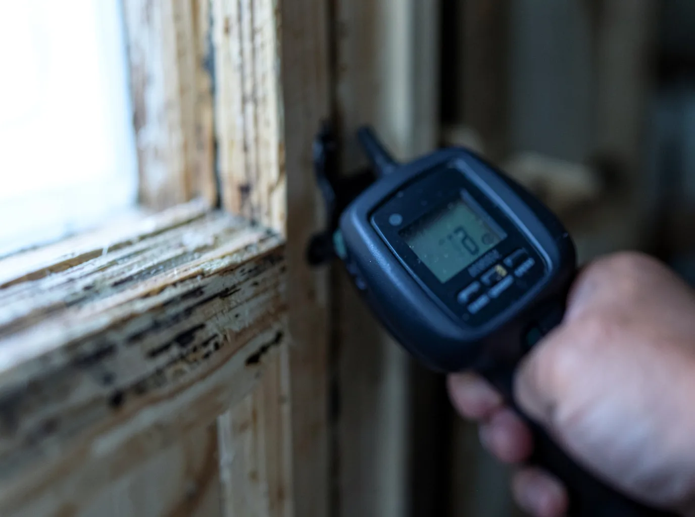 Commercial Water Damage Restoration in Beltrami, MN
